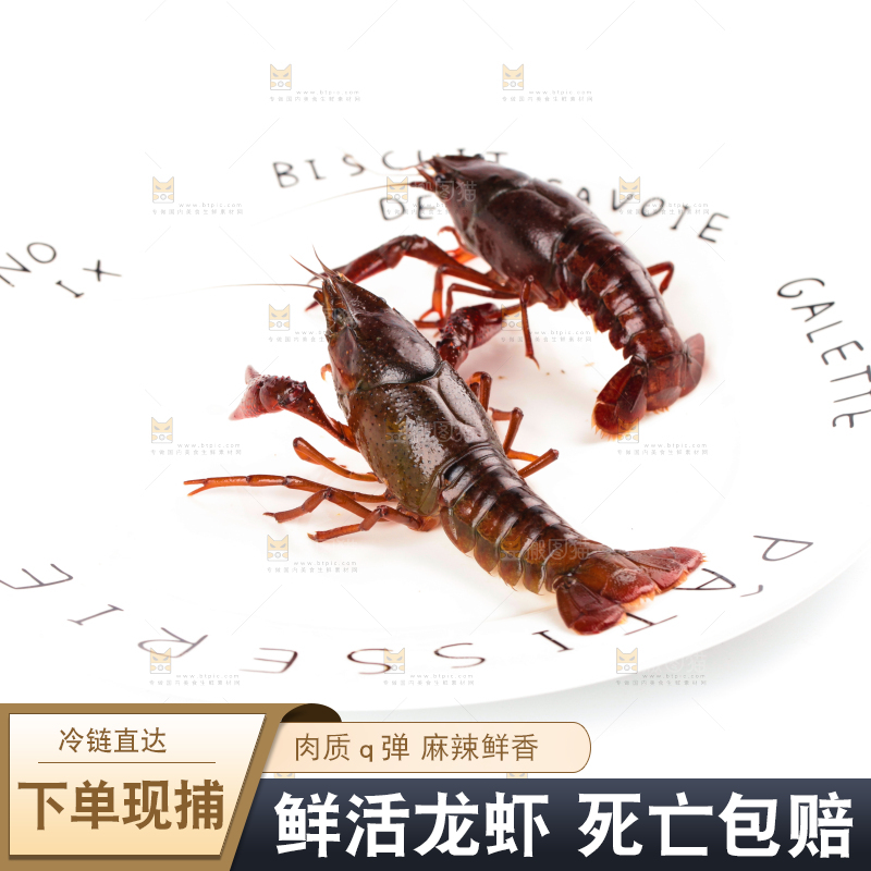 盘子里的鲜活龙虾