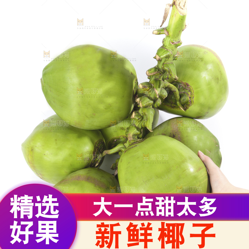 手拿大椰青
