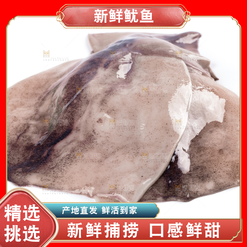 白底上放着大鱿鱼