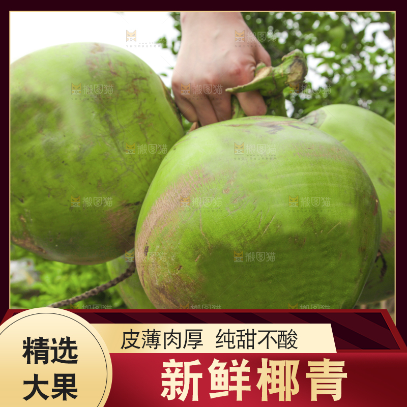 手拿海南大椰青