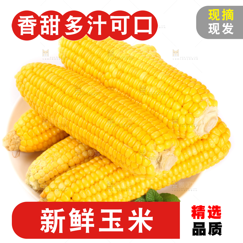 白底上放着黄玉米