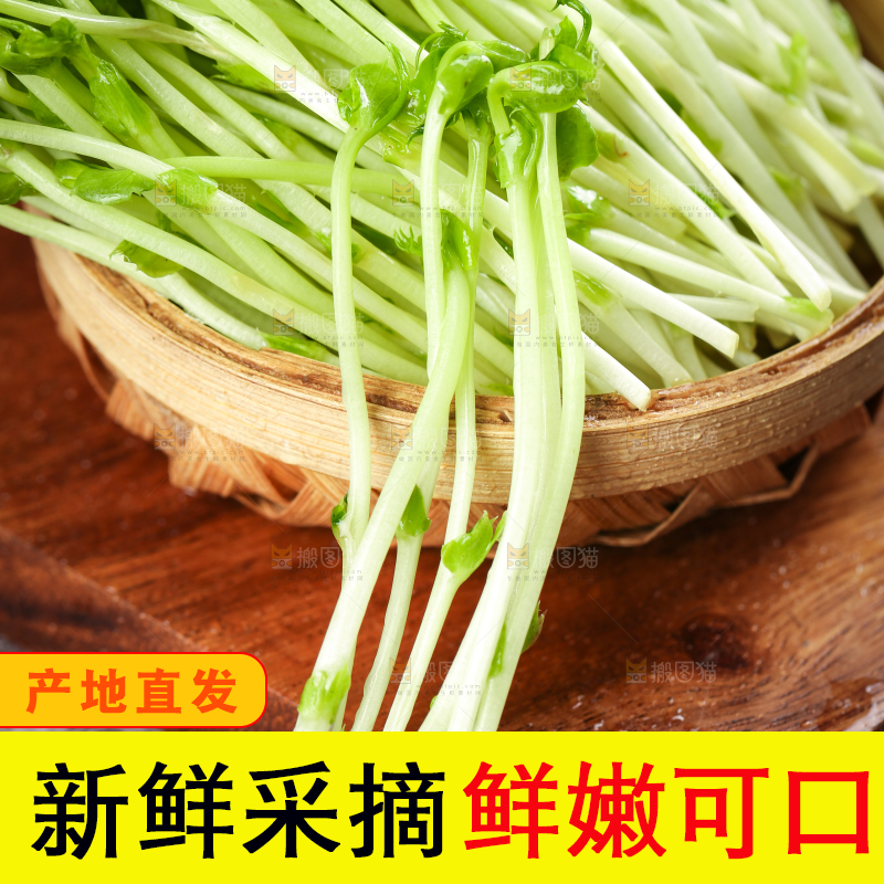 篮子里的豌豆芽苗菜
