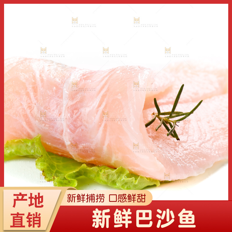 白底上的巴沙鱼