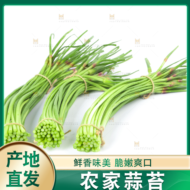 白底上的河南蒜苔