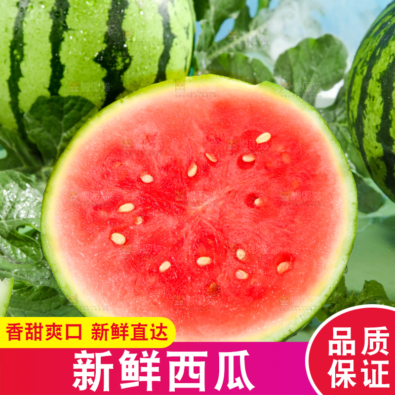 浅底上的放着切开的新鲜红肉西瓜