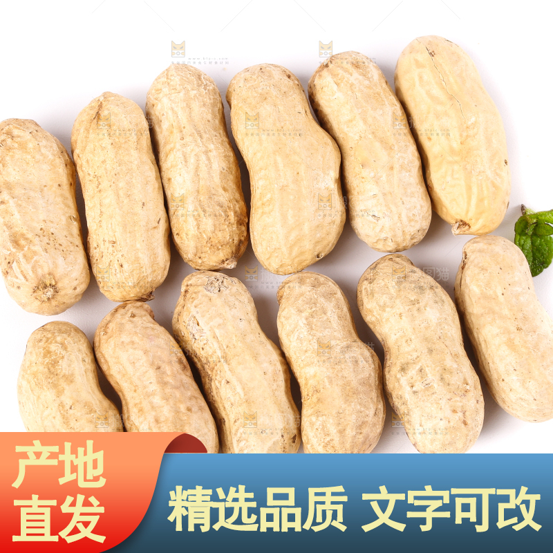 白底上的花生