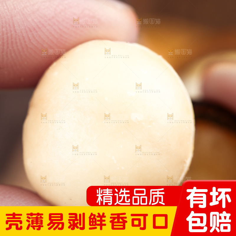 手拿夏威夷果果仁