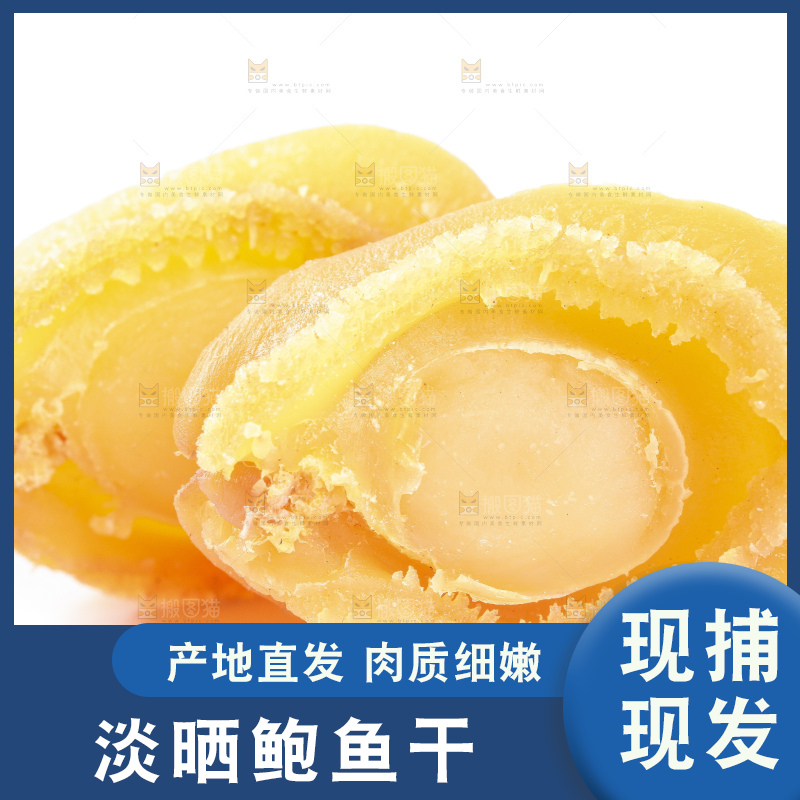 白底上的干鲍鱼