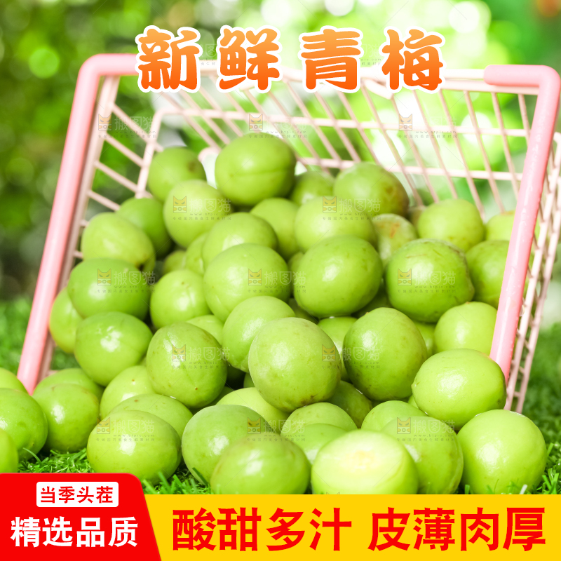 草地上放着一筐脆青梅