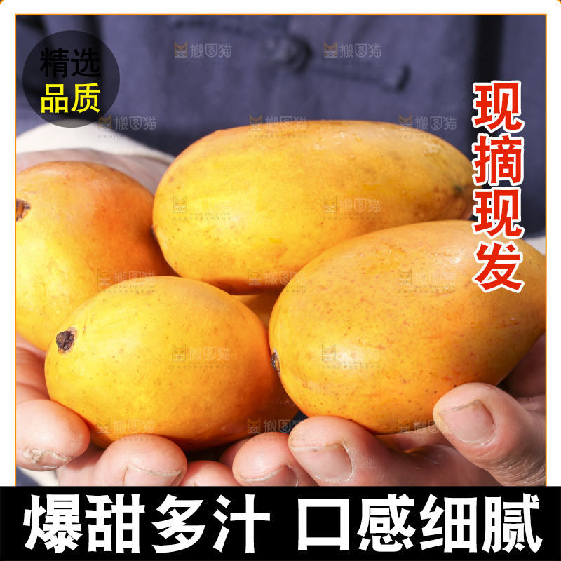 手拿切开的迷你小台芒