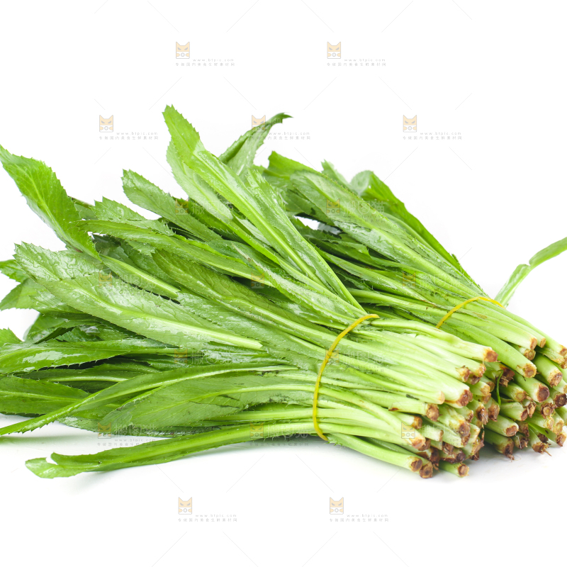 白底上的大香菜