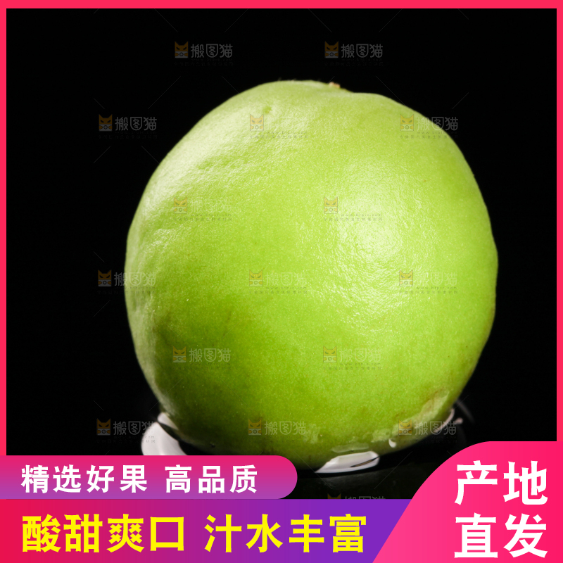 黑底上的青梅