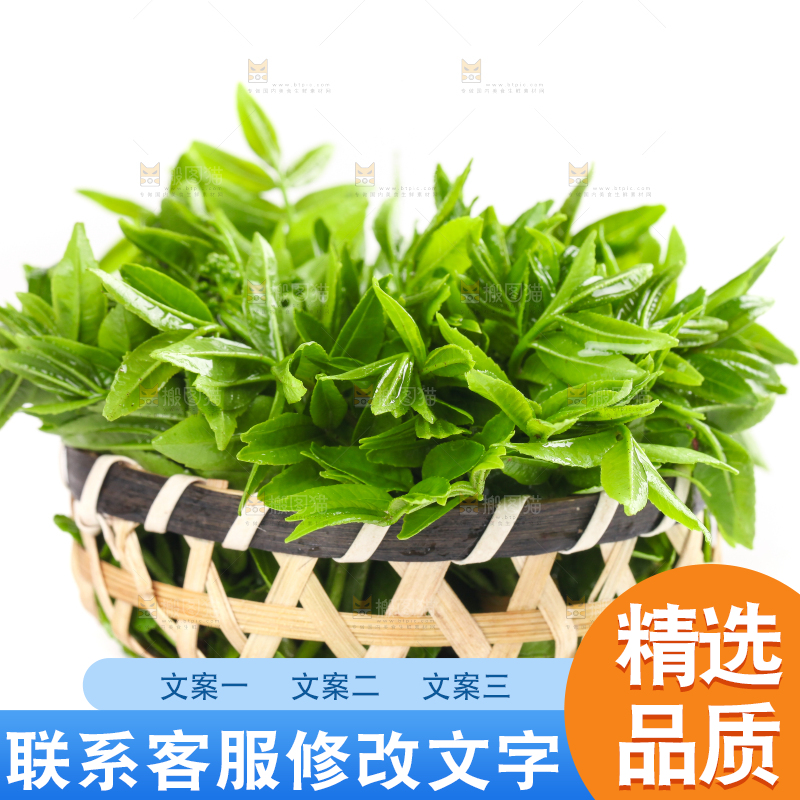 一筐野生花椒芽放在白底上