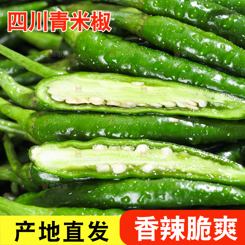 浅底上的朝天辣椒