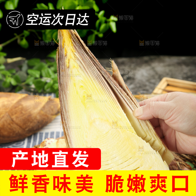 手拿切开的临安冬笋