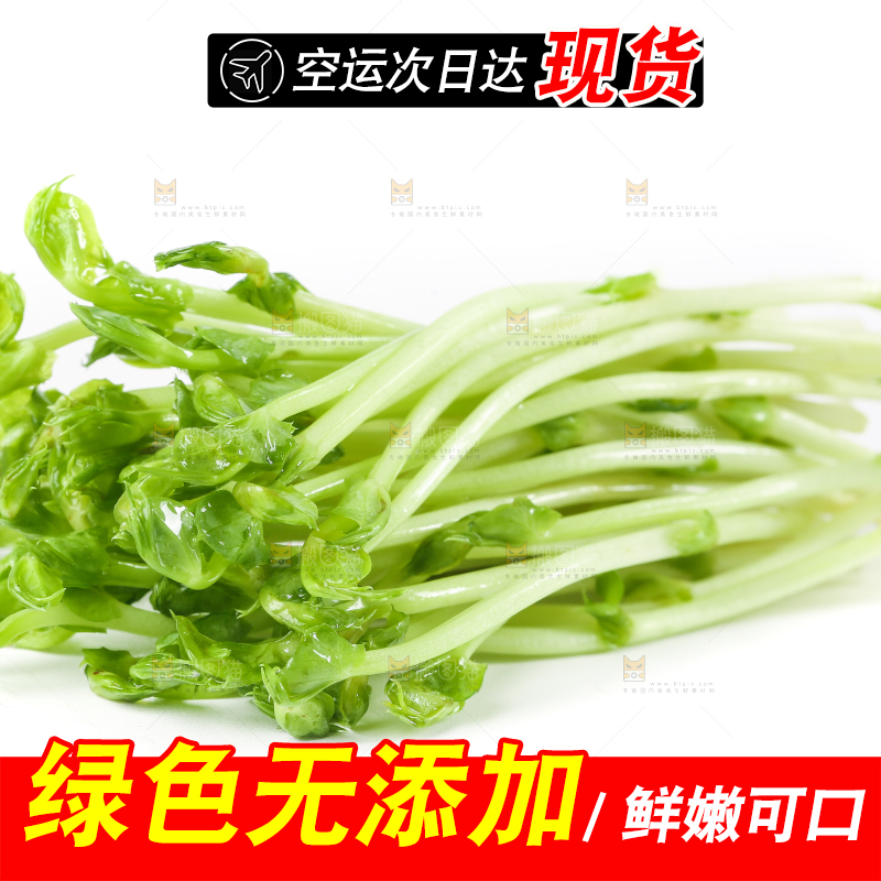 白底上放着豌豆芽菜