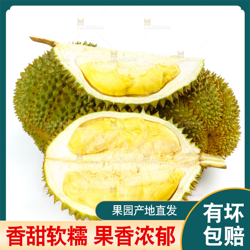 白底上的泰国榴莲
