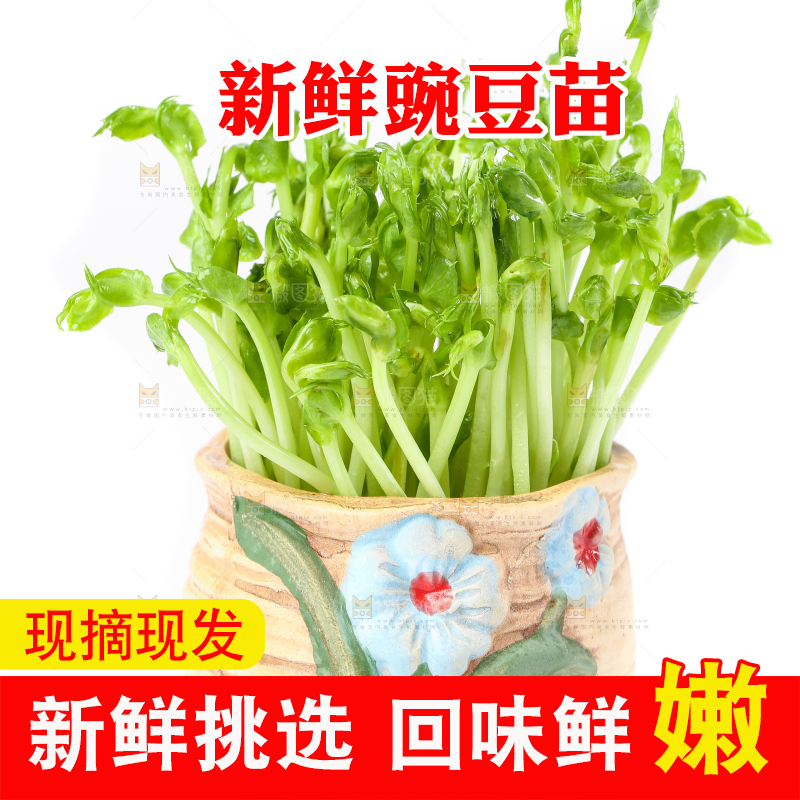 白底上放着豌豆芽菜
