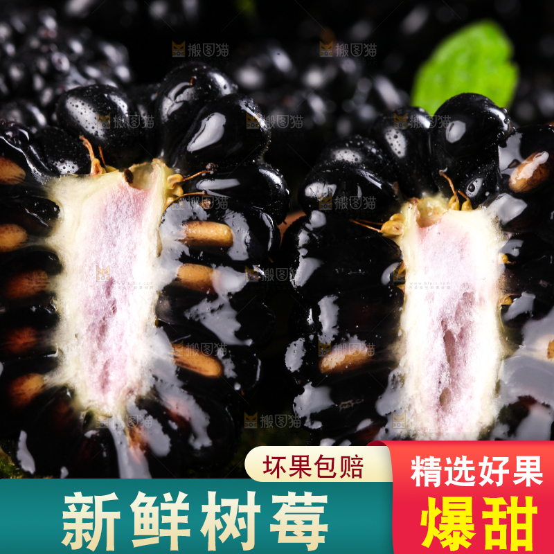 切开的黑树莓放在草地上