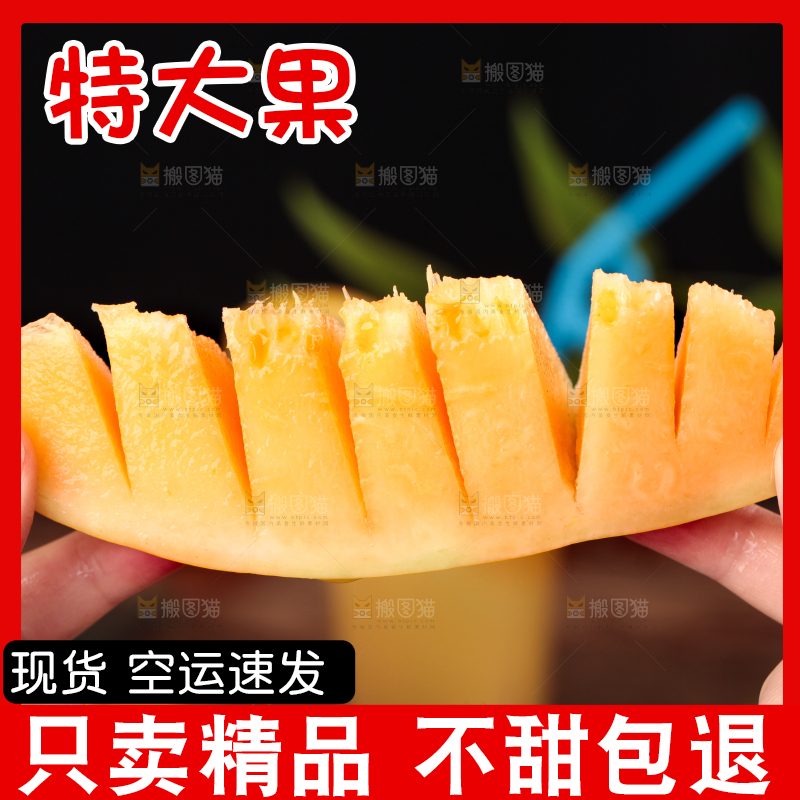 手拿切开的黄河蜜瓜