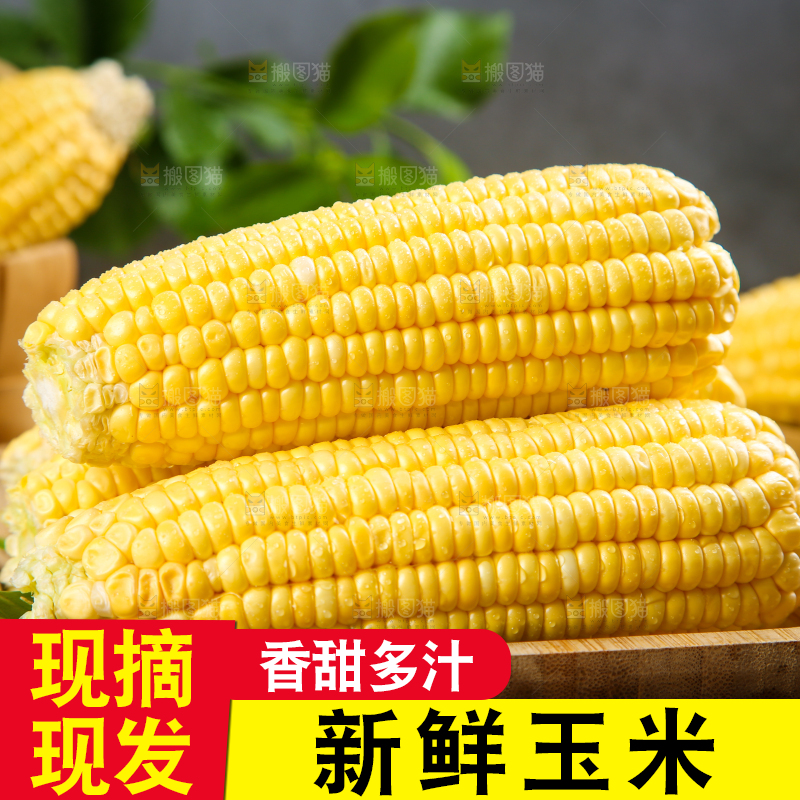 盘子里装着东北玉米