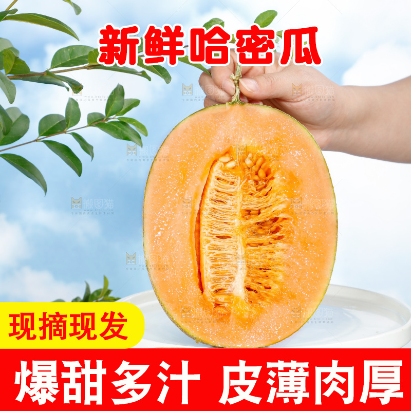 哈密瓜主图