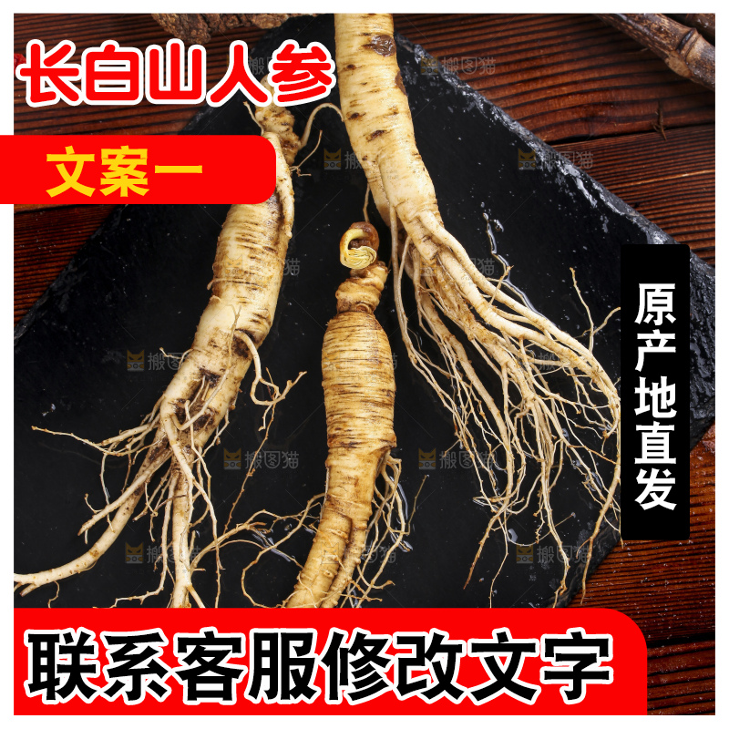 黑石板上的东北长白山人参