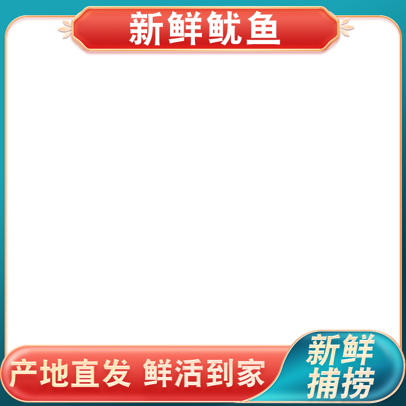 白底上放着大鱿鱼