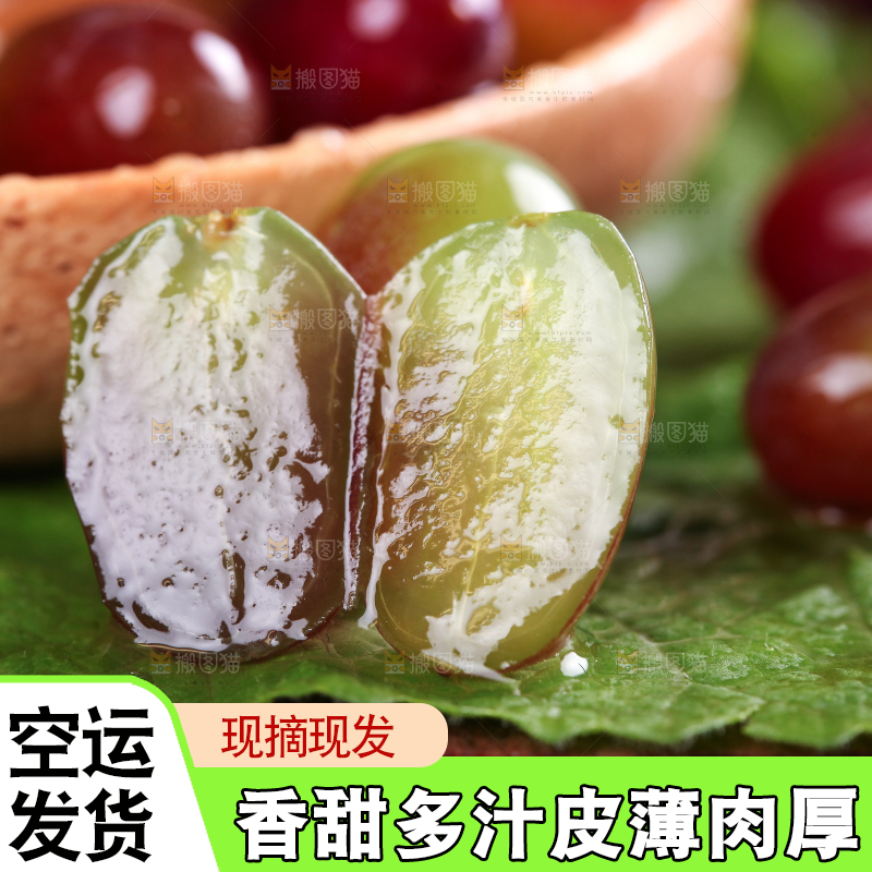 深底上的郁金香葡萄