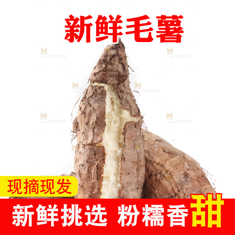 白底上的毛薯