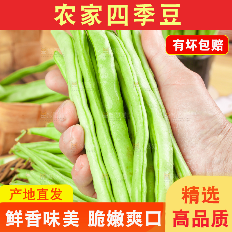 手里拿着云南新鲜四季豆