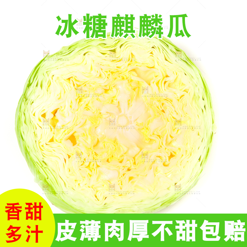 白底上放着切开的包菜