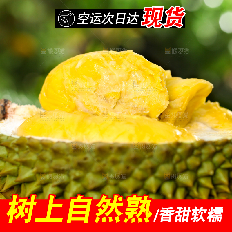 草地上摆放着甲仑榴莲