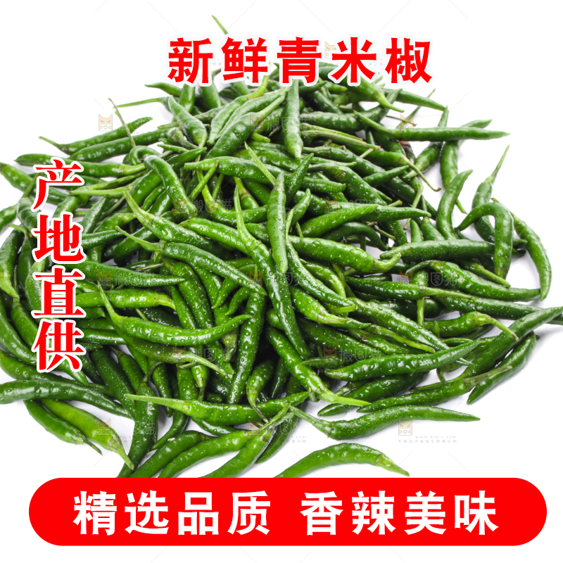 白底上的青米椒