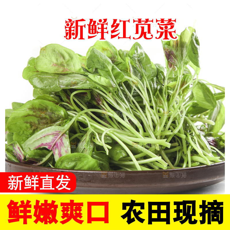 白底上放着一盘红苋菜