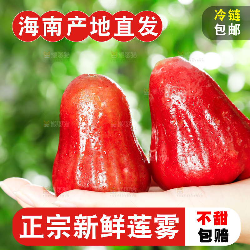 手拿新鲜莲雾