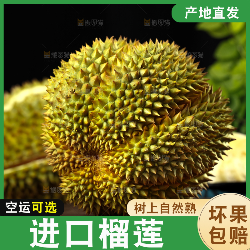 盘子里装着泰国甲仑榴莲