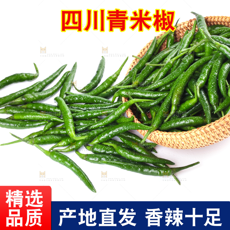 白底上放着一筐新鲜青米椒