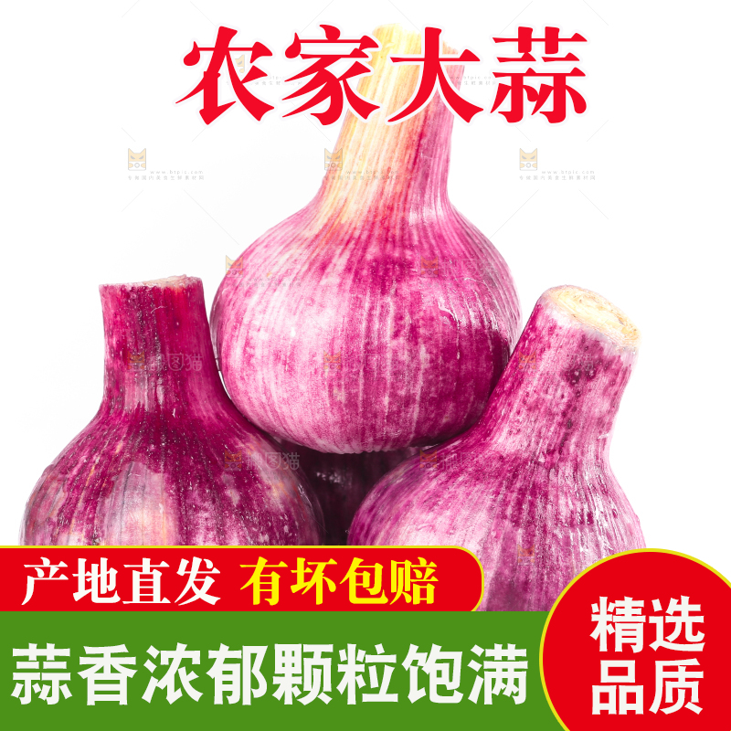 白底上放着紫皮大蒜