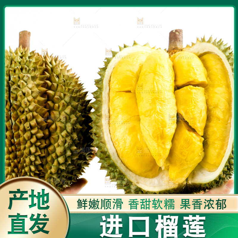 白底上摆放着甲仑榴莲