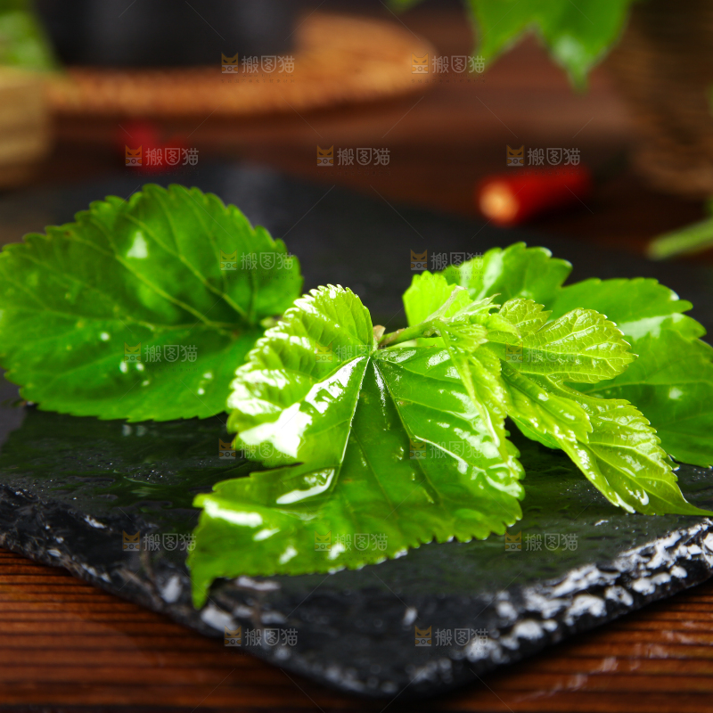 黑石板上放着新鲜桑叶