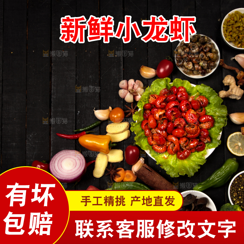 龙虾背景纹理