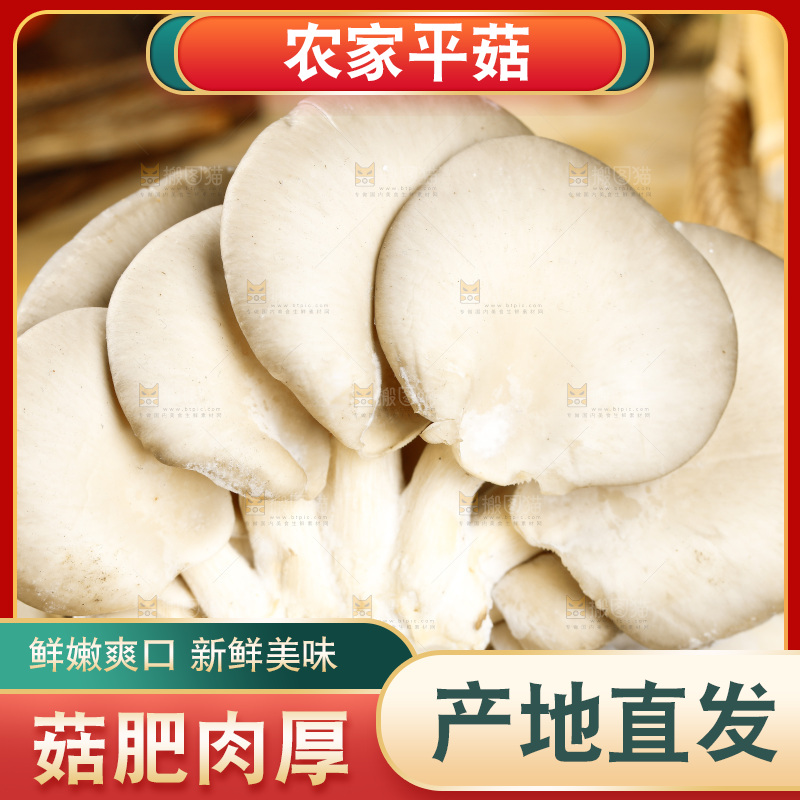 木底上的新鲜平菇