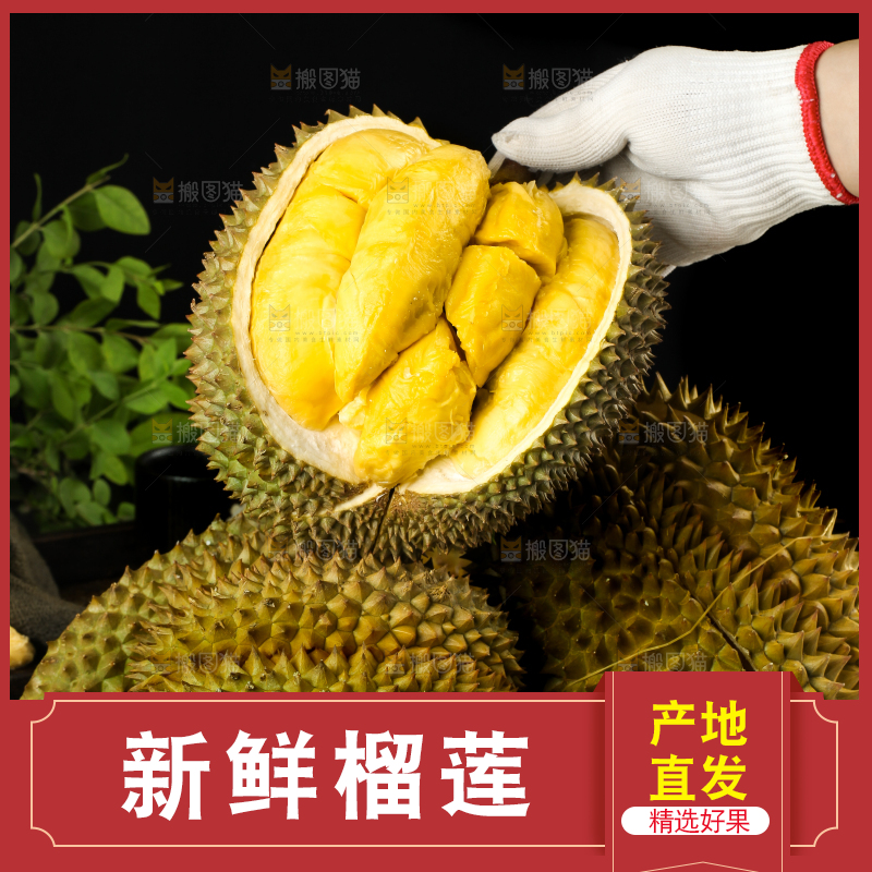 黑底上的进口甲仑榴莲