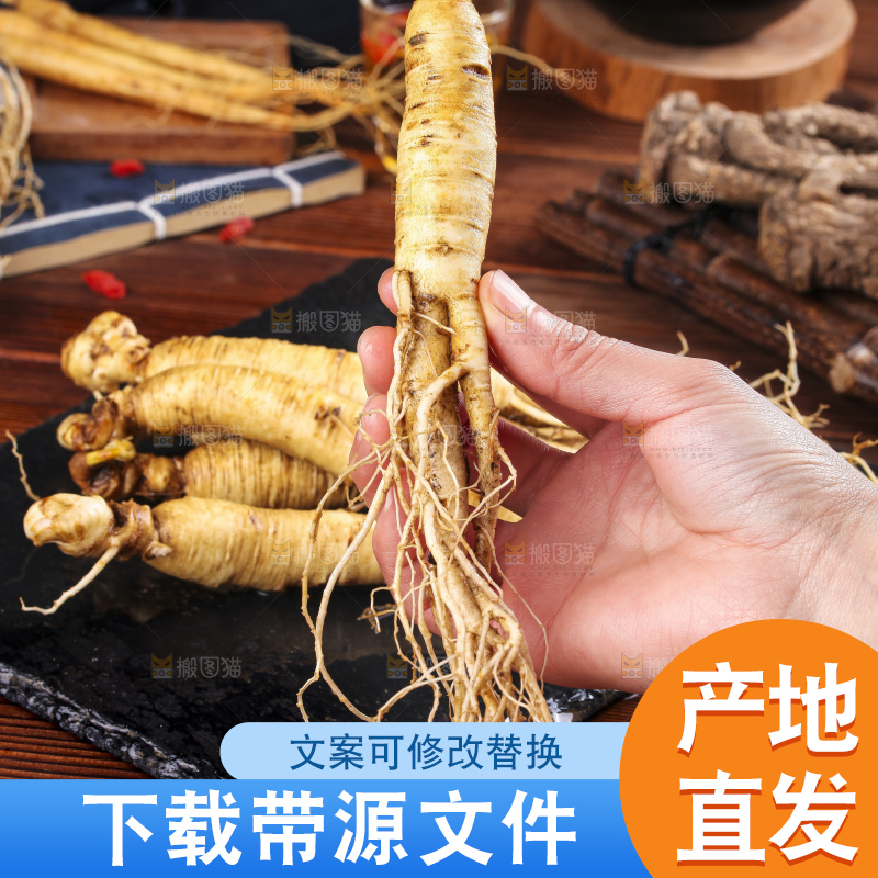手拿人参
