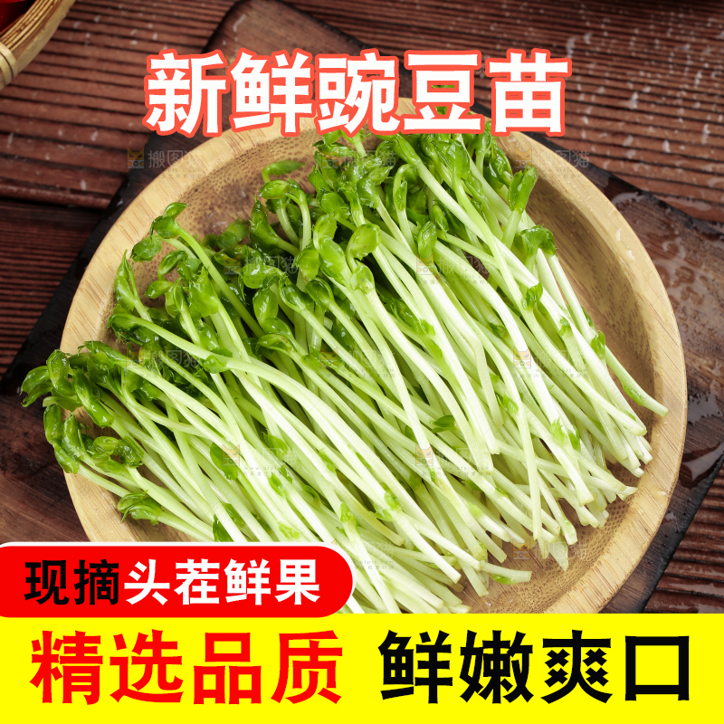 篮子里装着豆苗菜