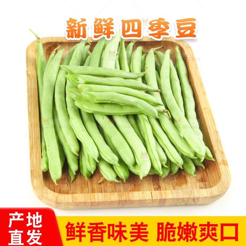 白底上的新鲜四季豆