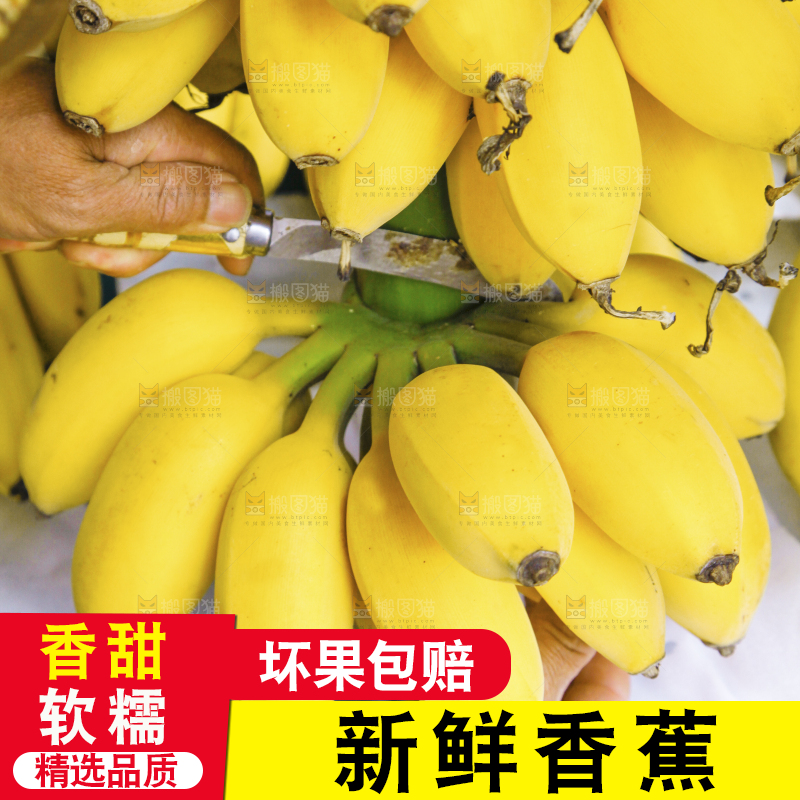 手上拿着一串苹果蕉