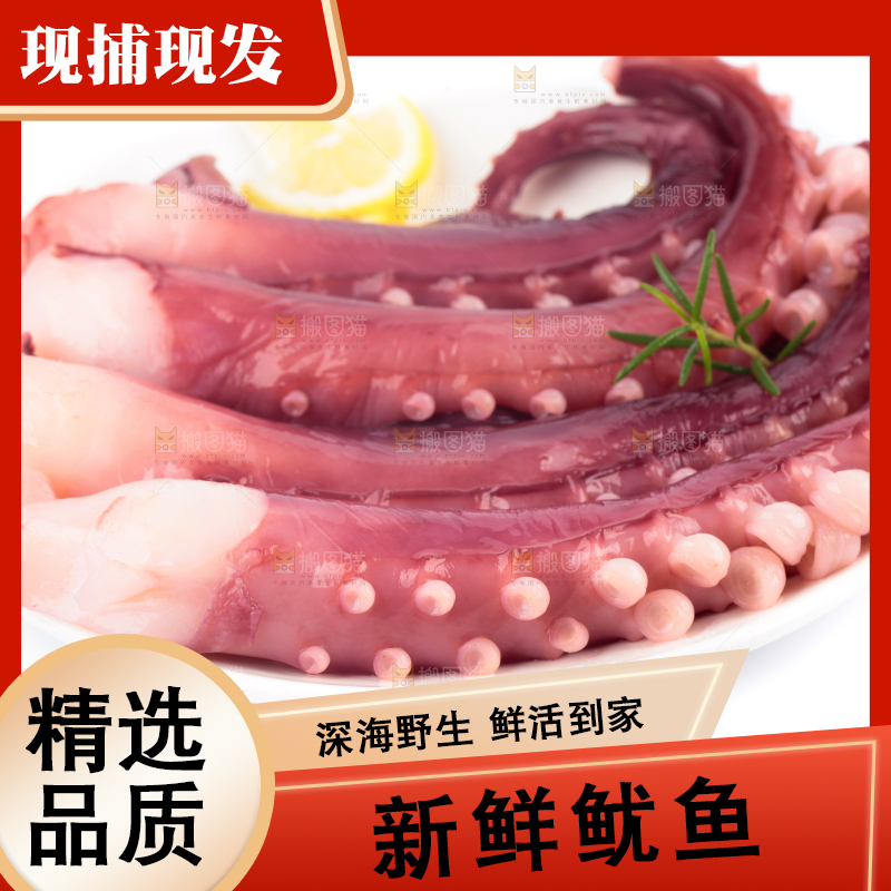 白底上的鱿鱼须