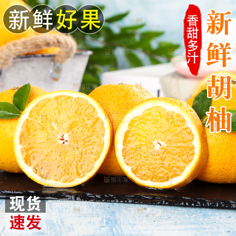 黑石板上的常山胡柚